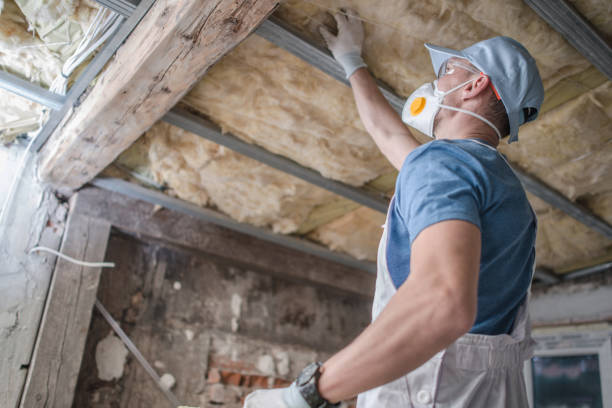Best Insulation Contractor Near Me  in Fort Lauderdale, FL