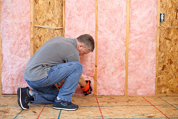 Best Insulation Repair Services  in Fort Lauderdale, FL