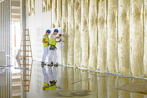 Insulation Inspection Services in Fort Lauderdale, FL